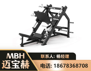 河源45°倒蹬训练器