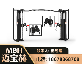 河源大飞鸟训练器