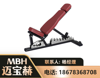 河源可调哑铃椅