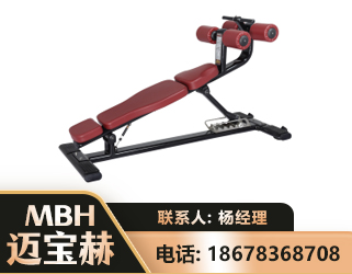 河源可调腹肌板